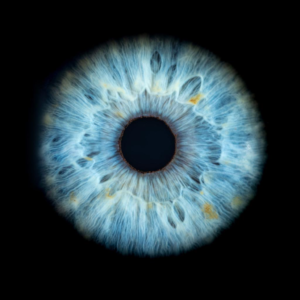 Iris-Shooting